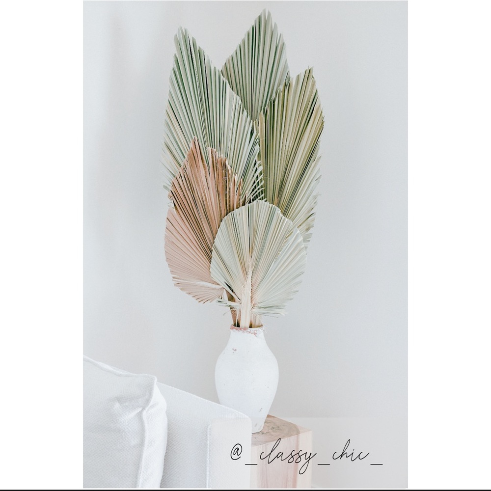 Jasmyn offers FREE SHIPPING $50 or more
